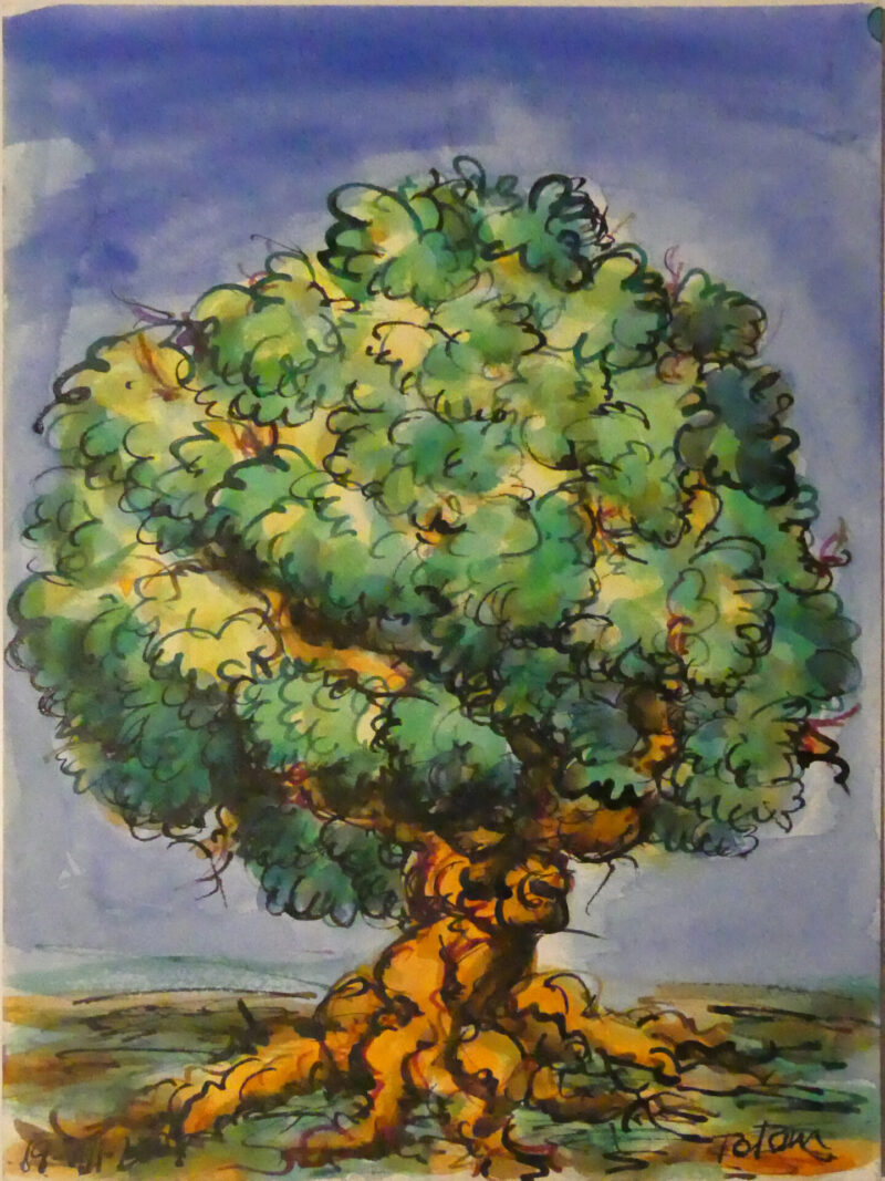 Pintura árbol en acuarela de Antonio García Calvente